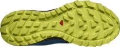 SALOMON TRAILSTER 2 GTX LYONS BLUE Chaussures Trail Salomon