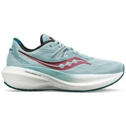 SAUCONY TRIUMPH 20 MINERAL ET BERRY Chaussures Running Saucony